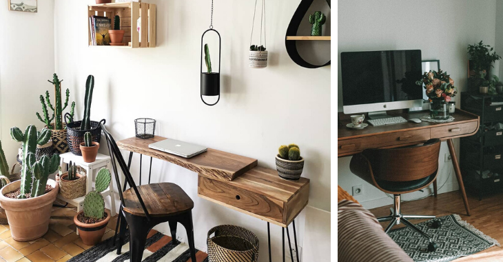 plantes-vertes-adaptees-bureau